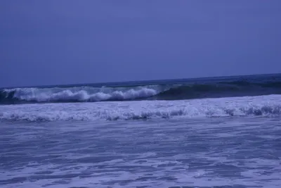 DSC_2165 (Large).JPG